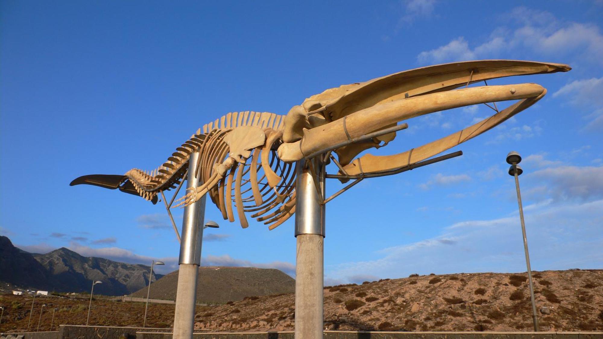 Casa"La Gomera" Los Silos Zewnętrze zdjęcie