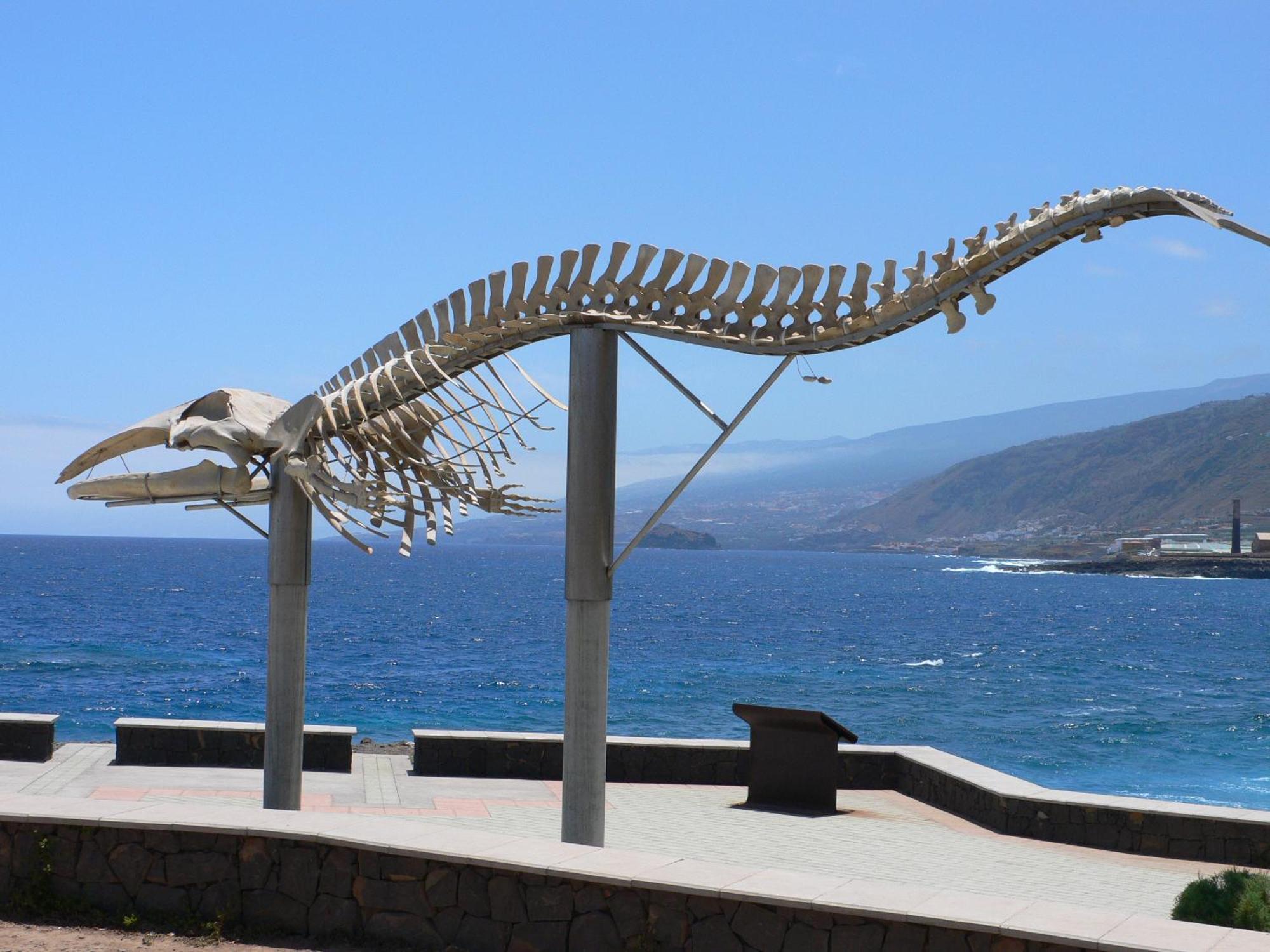 Casa"La Gomera" Los Silos Zewnętrze zdjęcie